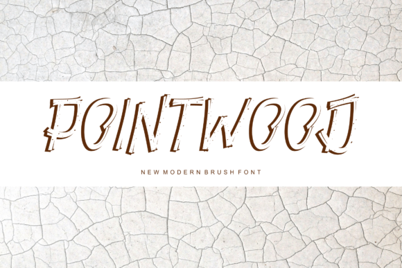 Pointwood: A Bold Display Font for Modern Editorial Design