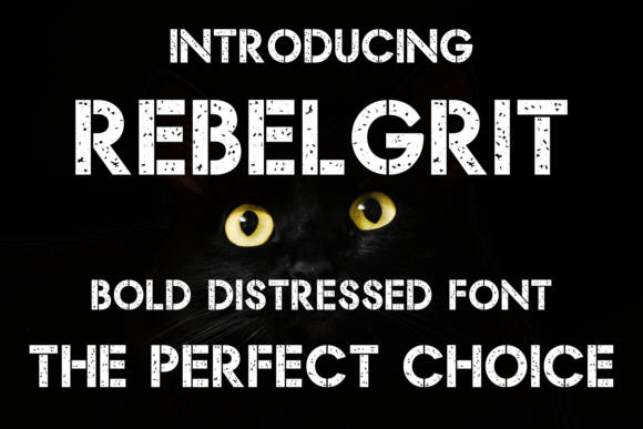 Rebel Grit: The Edgy Display Font for Bold Marketing Campaigns